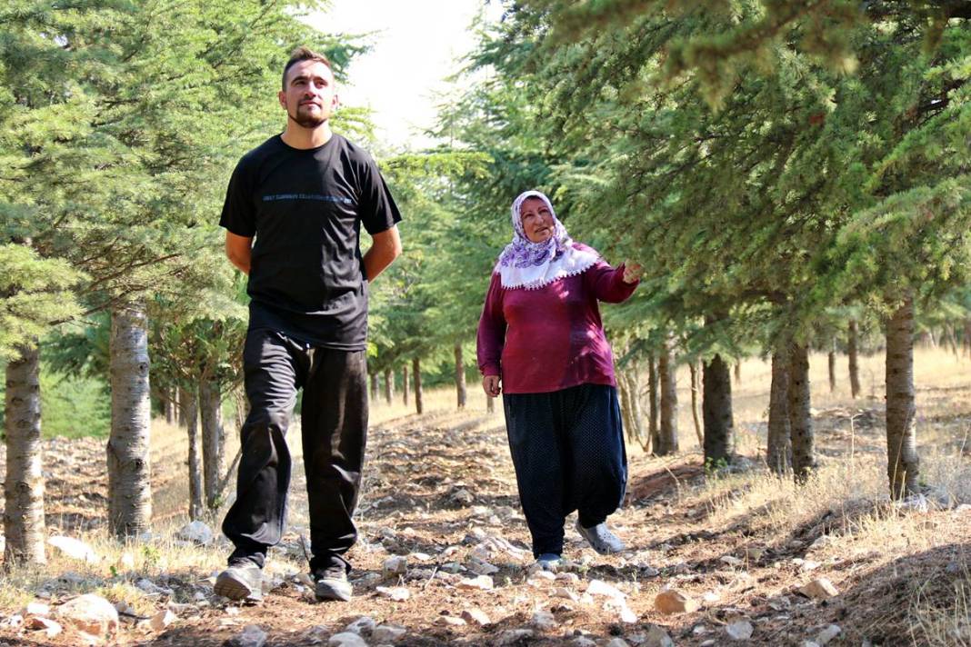 Arabasını satıp 5 bin sedir fidanı dikti: Şimdi ormana dönüştü! 2